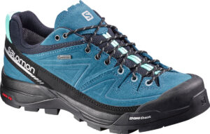 SALOMON X ALP GTX CHOCLO GORETEX