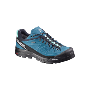 SALOMON X ALP GTX CHOCLO GORETEX
