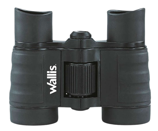 BI270305 WALLIS 4x30 BINOCULAR OPTICO NEGRO