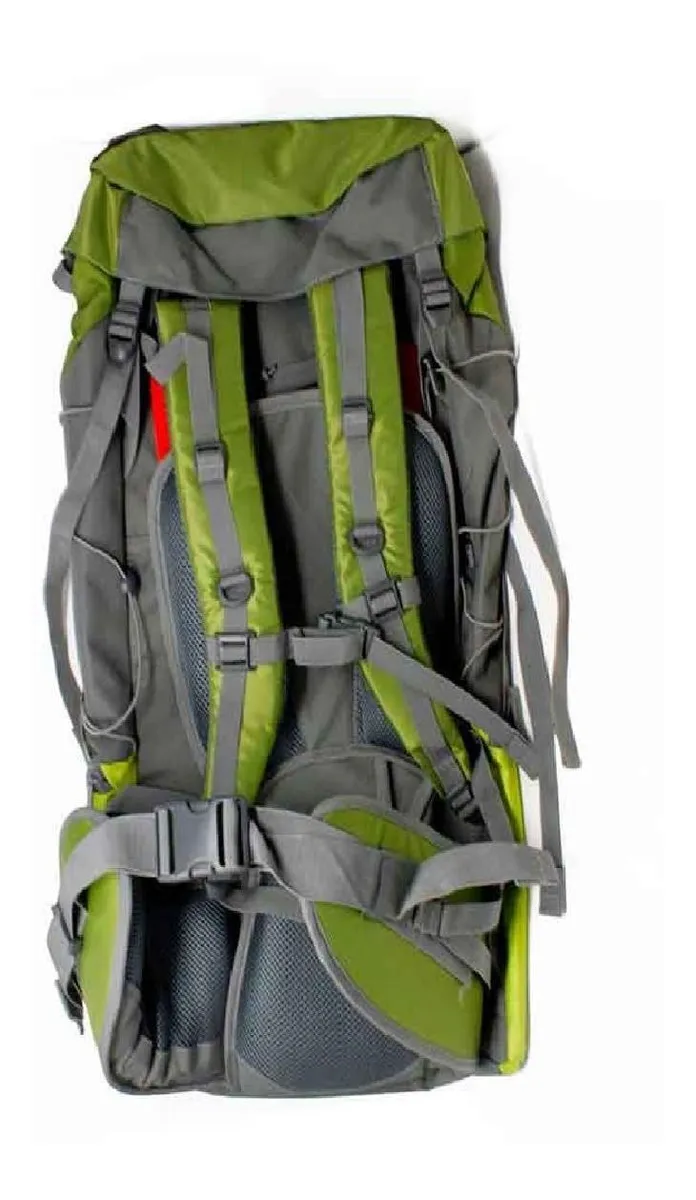 2000023357 COLEMAN TOLIMA 60Lts MOCHILA VERDE/VERD - Imagen 2